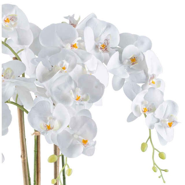 Kopu ® kunstbloem orchidee 62 cm met te pot phalenopsis 3037530 large