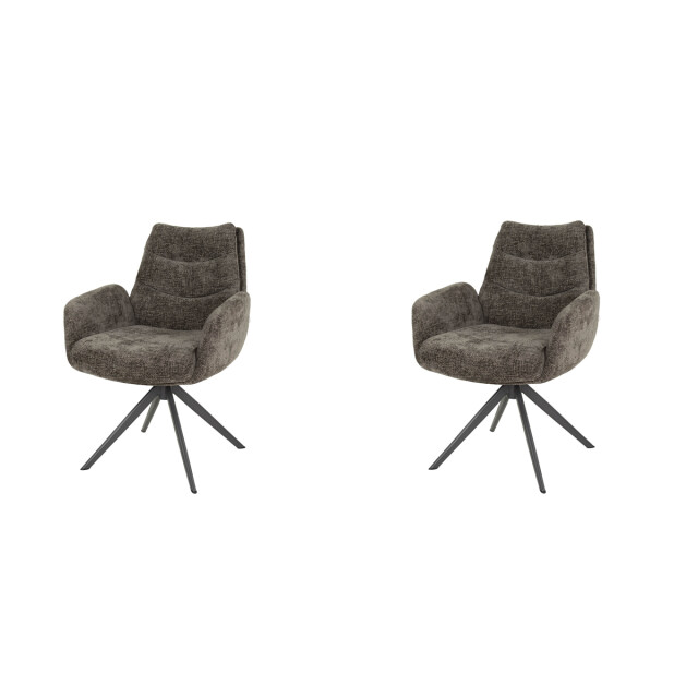 Hoyz armstoel lounge rich set van 2 3005210 large