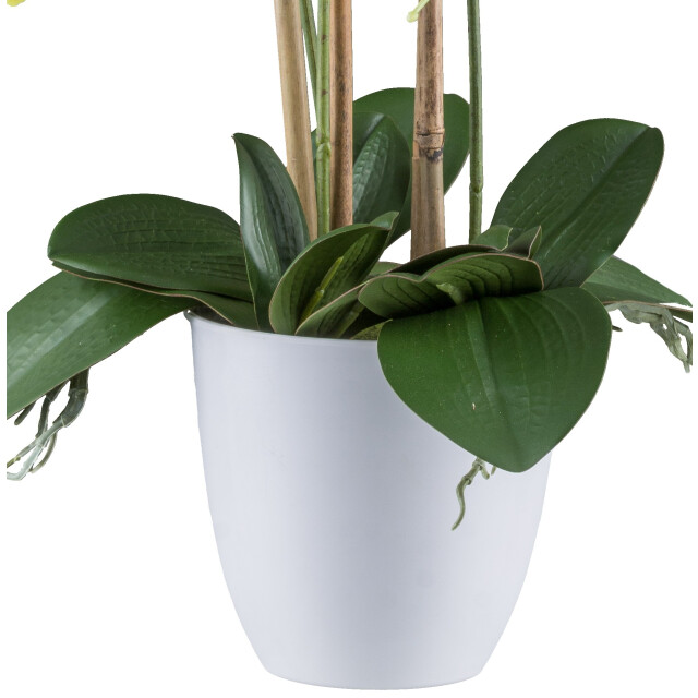 Kopu ® kunstbloem orchidee 62 cm met te pot phalenopsis 3037530 large