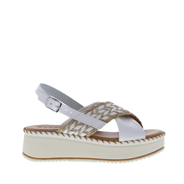 Cypres 2510013 | dames | maat: | combinatie 109963 large