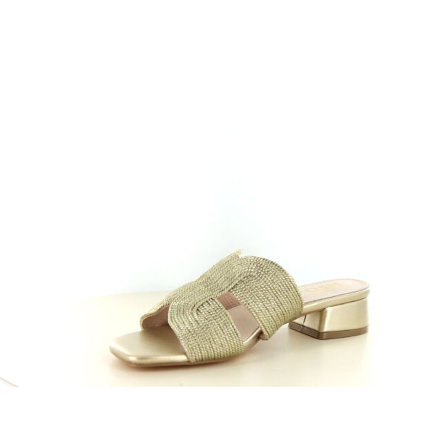 Posh C0325-8 281.97.030 large