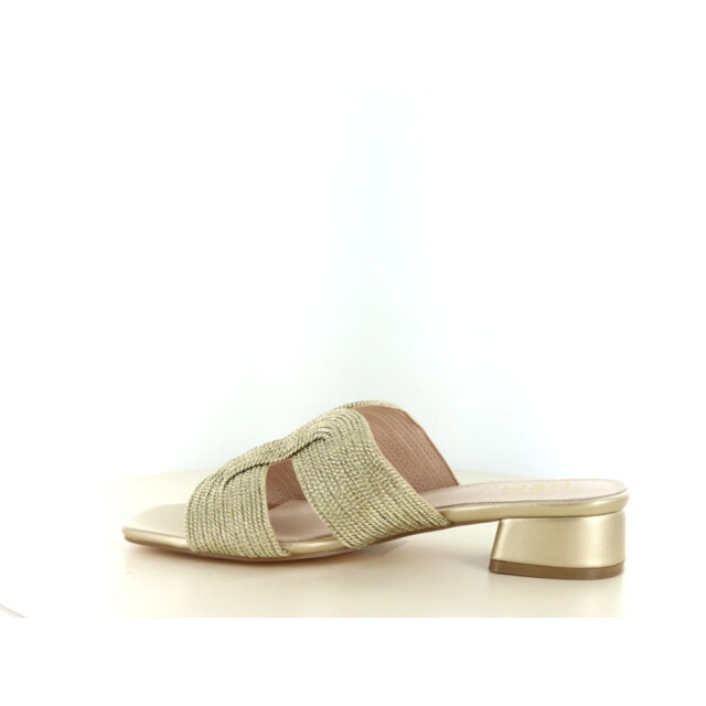 Posh C0325-8 281.97.030 large