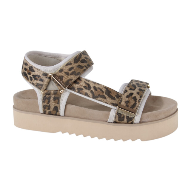 Maruti 66.1653.01-djn dames sandalen sportief Maruti 66.1653.01-DJN large