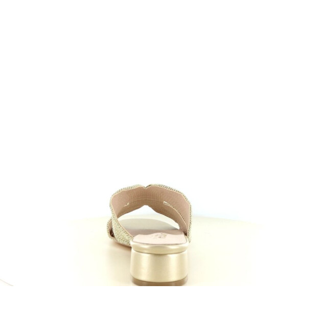 Posh C0325-8 281.97.030 large