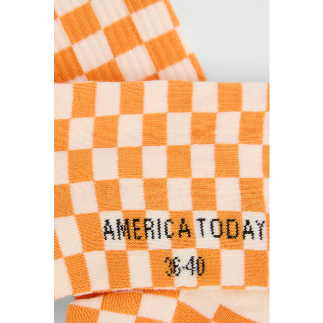 America Today Tula b 1522001314 650 large