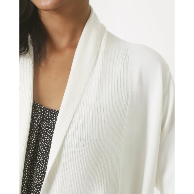 Smashed Lemon 23850 herfst/winter gebreid viscose vest | 23850-010-M large