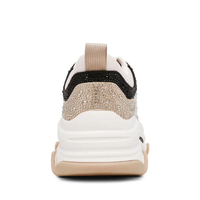 Steve Madden Privy sneaker 59335 large