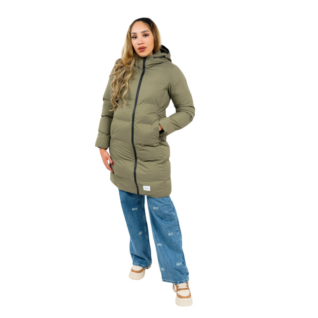 Khujo Finnie2 58611 large