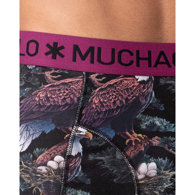 Muchachomalo Men 12 pack boxer hort print/olid giftbox 58983 large