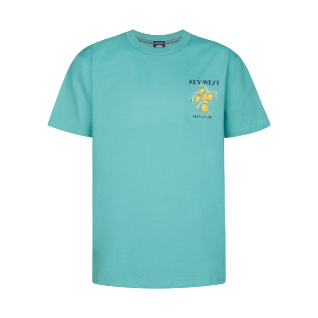 Petrol Industries men t-shirt ss classic print m-1050-tsr649 6169 aqua green 05011.369.0220 large