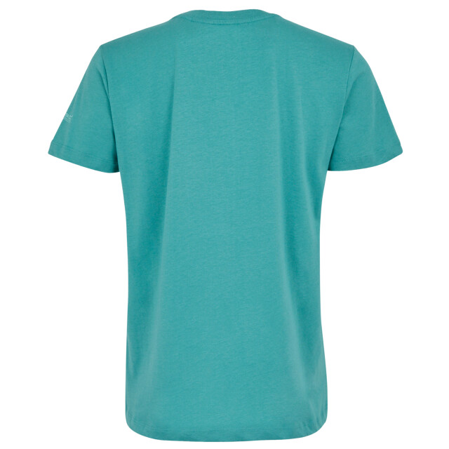 Regatta Dames filandra vx zeesterren t-shirt UTRG11610_turquoise large
