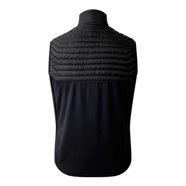 Dare2b Heren afdaling ii gilet UTRG11806_black large