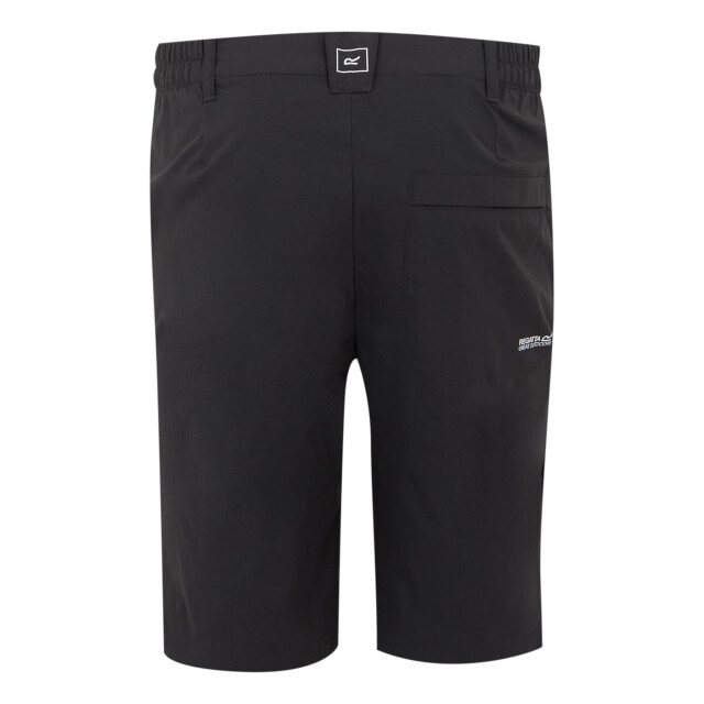 Regatta Heren highton ii lange casual wandelbroek UTRG11822_ash large