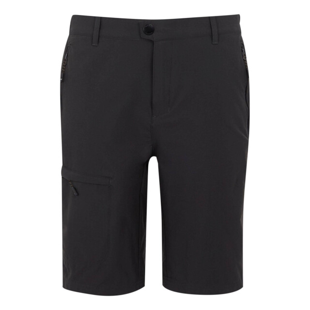 Regatta Heren highton ii lange casual wandelbroek UTRG11822_ash large