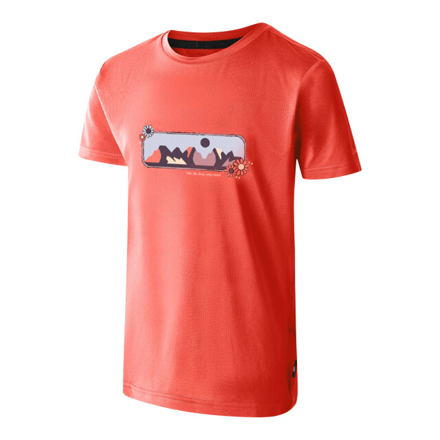 Dare2b Kinderen/kinderen amuse ii mountain t-shirt UTRG11896_peachbloom large