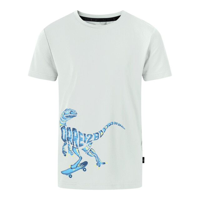 Dare2b Jongens amuse ii velociraptor t-shirt UTRG11897_aquagrey large