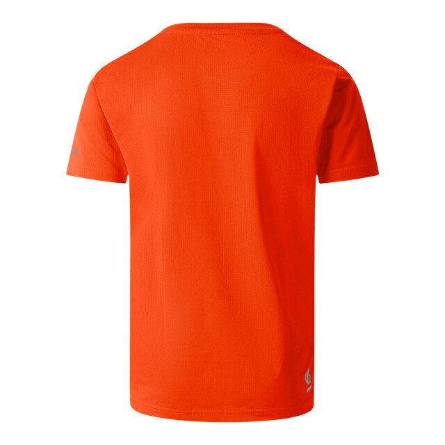 Dare2b Kinderen/kinderen amuse ii tijger t-shirt UTRG11898_sevillered large