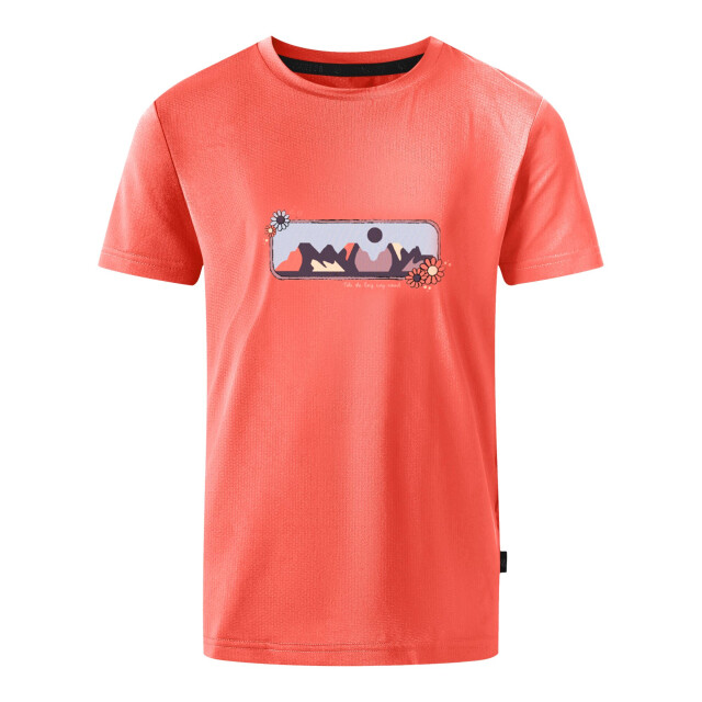 Dare2b Kinderen/kinderen amuse ii mountain t-shirt UTRG11896_peachbloom large
