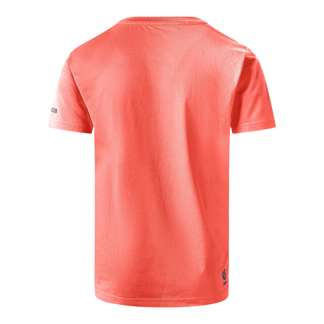 Dare2b Kinderen/kinderen amuse ii mountain t-shirt UTRG11896_peachbloom large