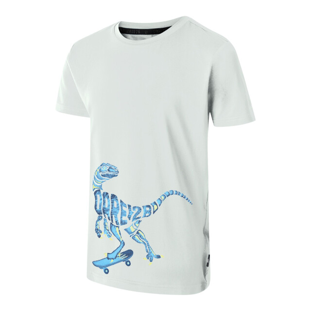 Dare2b Jongens amuse ii velociraptor t-shirt UTRG11897_aquagrey large