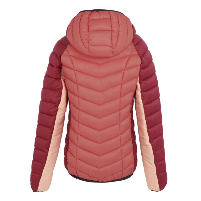 Regatta Dames dalent gewatteerd hooded jacket UTRG11152_rumbaredmineralred large