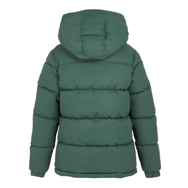 Regatta Dames arilie gewatteerd jasje UTRG10983_darkforestgreen large