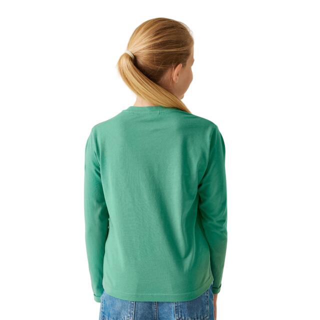 Regatta Kinderen/kinderen wenbie iii flower mountain t-shirt UTRG10896_dustygreen large