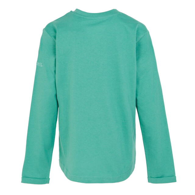 Regatta Kinderen/kinderen wenbie iii flower mountain t-shirt UTRG10896_dustygreen large