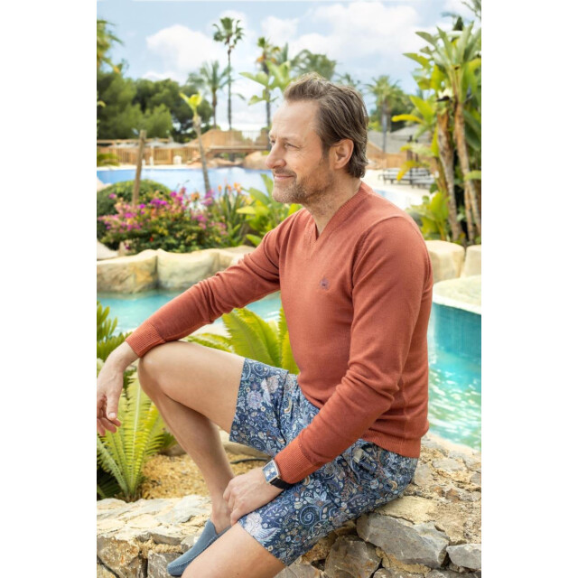 Circle of Gentlemen Alec 100% merino v-neck pullover 000-30002-650- large