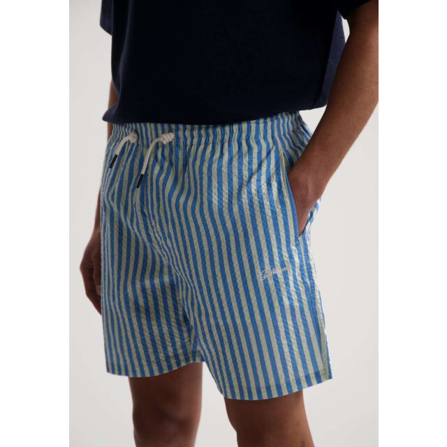 Dstrezzed Ds case stripe swimshorts 522020-607 large