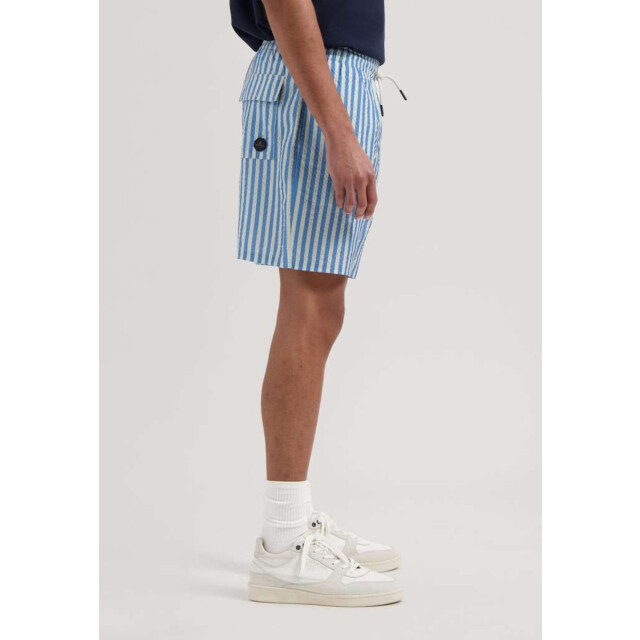 Dstrezzed Ds case stripe swimshorts 522020-607 large