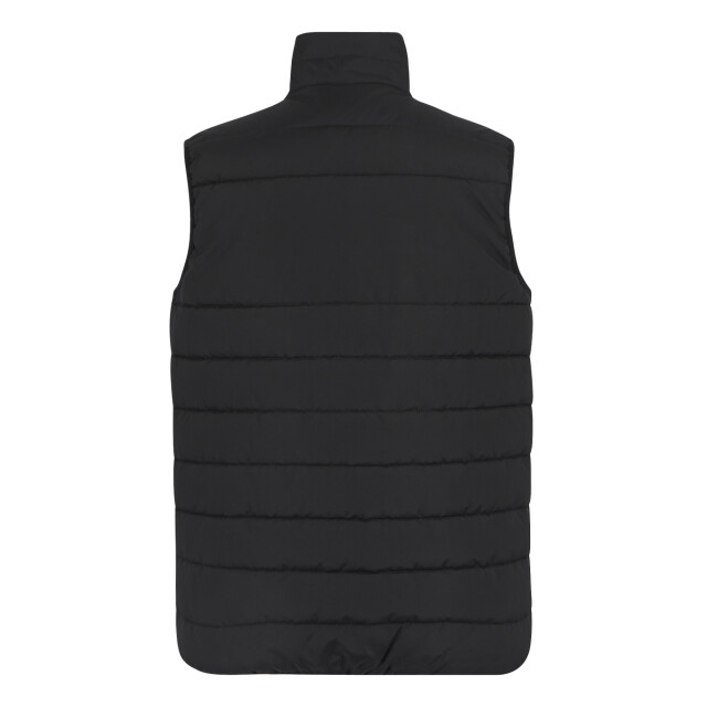 Regatta Thermische bodywarmer voor heren UTRG11657_black large