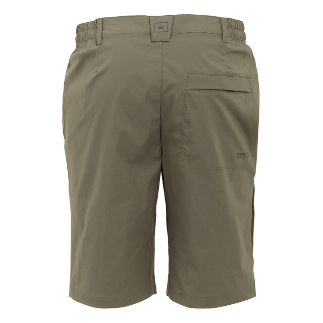 Regatta Heren highton ii lange casual wandelbroek UTRG11822_treetop large