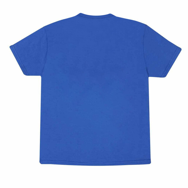 Pokemon Kinderen/kinderen squirtle retro t-shirt UTHE1509_blue large