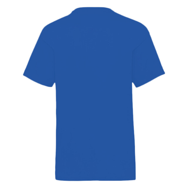 Pokemon Kinderen/kinderen i kies u t-shirt UTHE346_blue large
