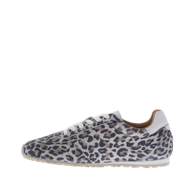DWRS Label Sava dames sneaker | dames | maat: | combinatie 110202 large