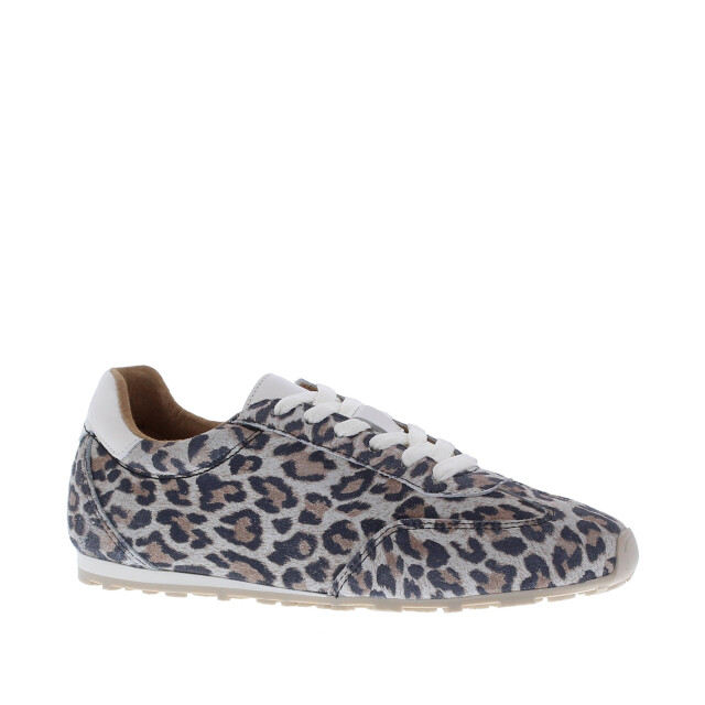 DWRS Label Sava dames sneaker | dames | maat: | combinatie 110202 large