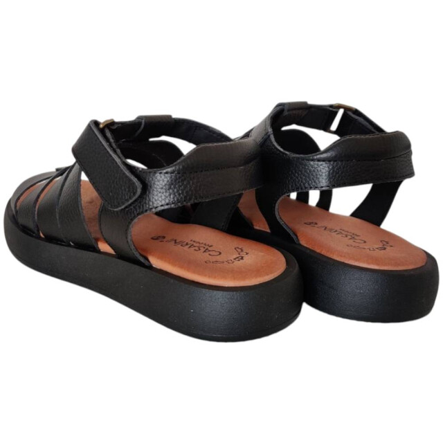 Casarini 25383 sandaal 25383 large