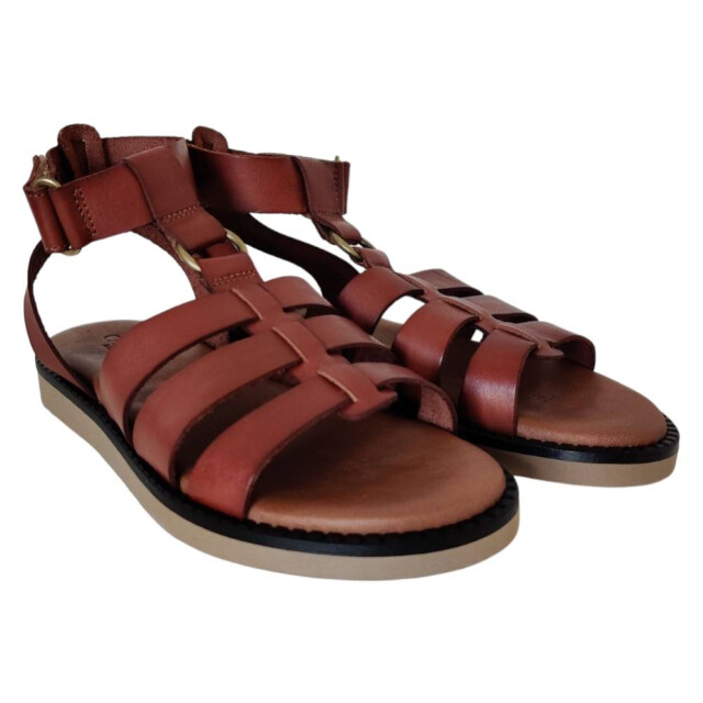 Casarini 25392 sandaal 25392 large