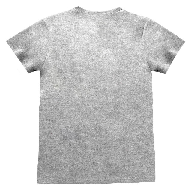 Nintendo Unisex adult legend of zelda shield t-shirt UTHE401_greyheather large