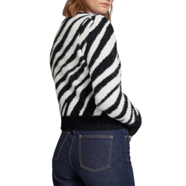 Only Breimode dames Only Zwart/Wit Zebraprint Trui large