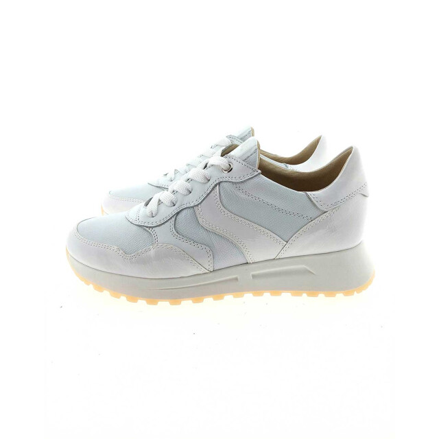 DL Sport 6527 sneakers 6527 large