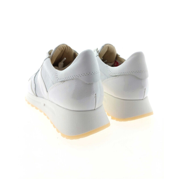 DL Sport 6527 sneakers 6527 large