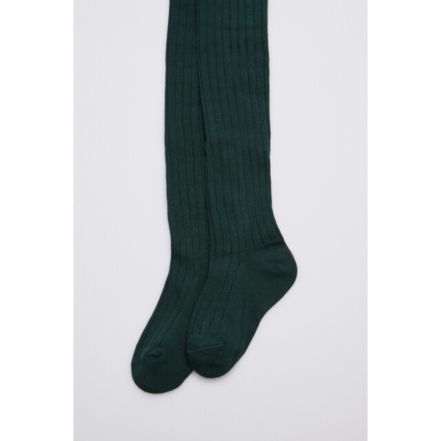In Control 892 rib tights green 892 large