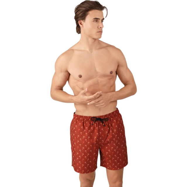 Brunotti Zwemshort heren 2511310029 large