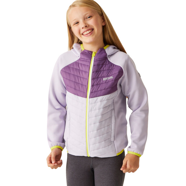 Regatta Kinders/kids kielder viii hybride jas UTRG9921_lilacfrostsunsetpurple large