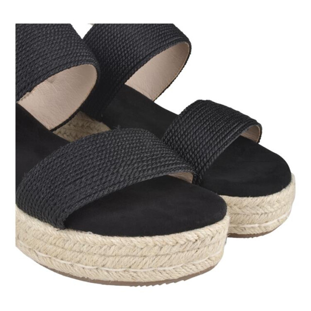 PS Poelman C0047-2apsh C0047-2APSH large