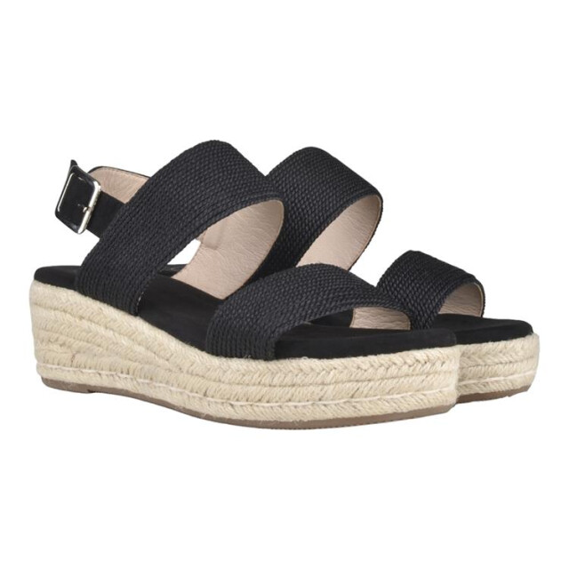 PS Poelman C0047-2apsh C0047-2APSH large