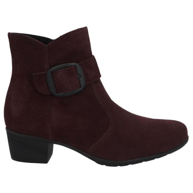 Solidus 34109 hillary 109 34109 Hillary large