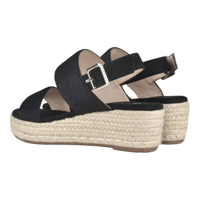 PS Poelman C0047-2apsh C0047-2APSH large